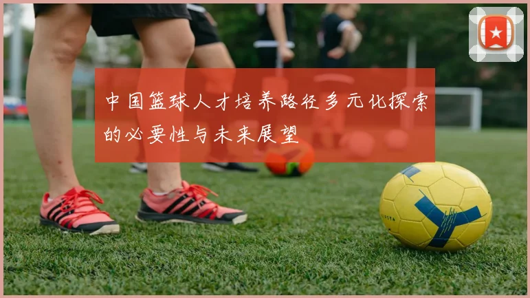 中国篮球人才培养路径多元化探索的必要性与未来展望